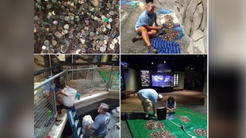 Grand total: N.C. aquarium finds $8,500+ in wishing coins to help care for animals