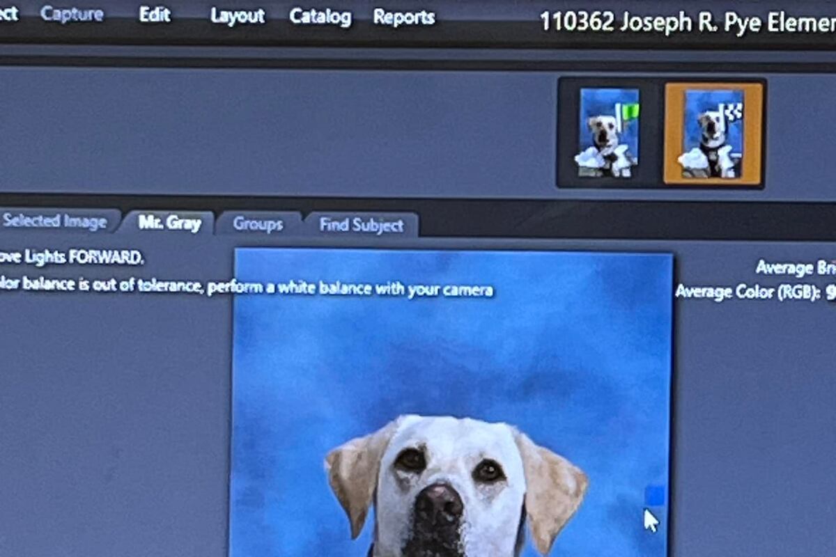 preloaded gallery image