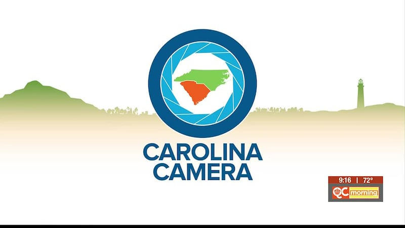 Carolina Camera: First of its kind business celebrating one year in Lincolnton