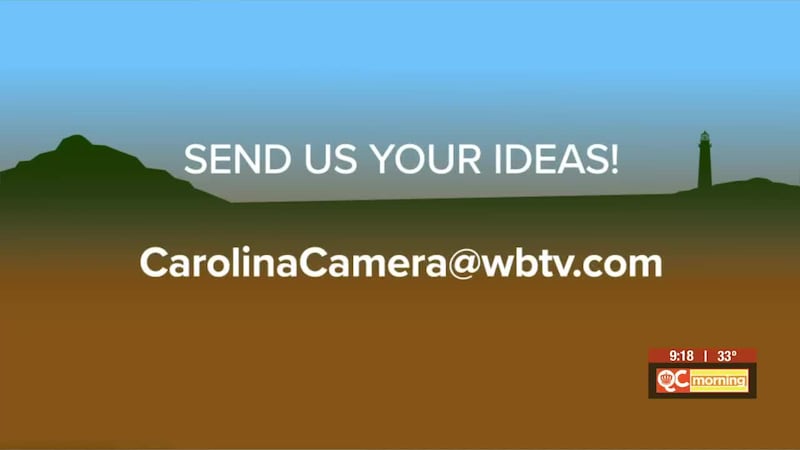 Looking Back At 50 Years Of Carolina Camera