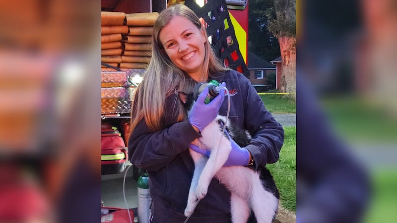 Mecklenburg County paramedics saved a cat's life following a house fire in Charlotte on...
