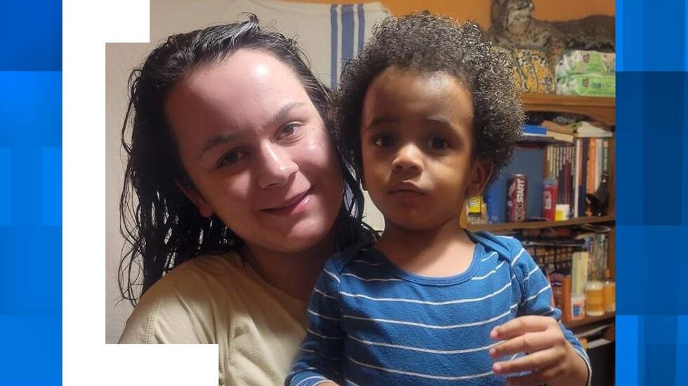 Sophia and Matteo Van Dam have been missing since June, authorities say. Her mother says she...