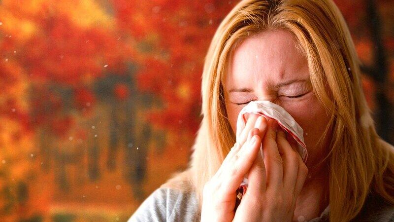 Fall allergies, often triggered by pollen and mold spores, can manifest in symptoms that...